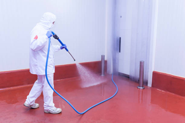 Best Rust Removal  in La Center, WA